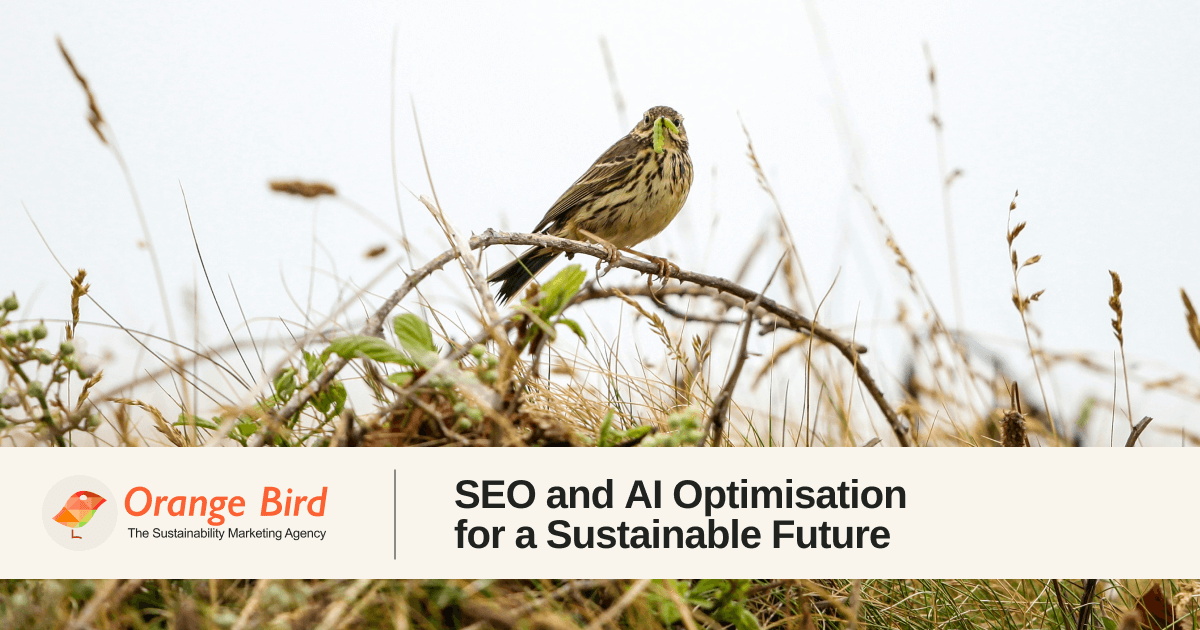 Search Strategy & Optimisation for Climate Tech | Orange Bird