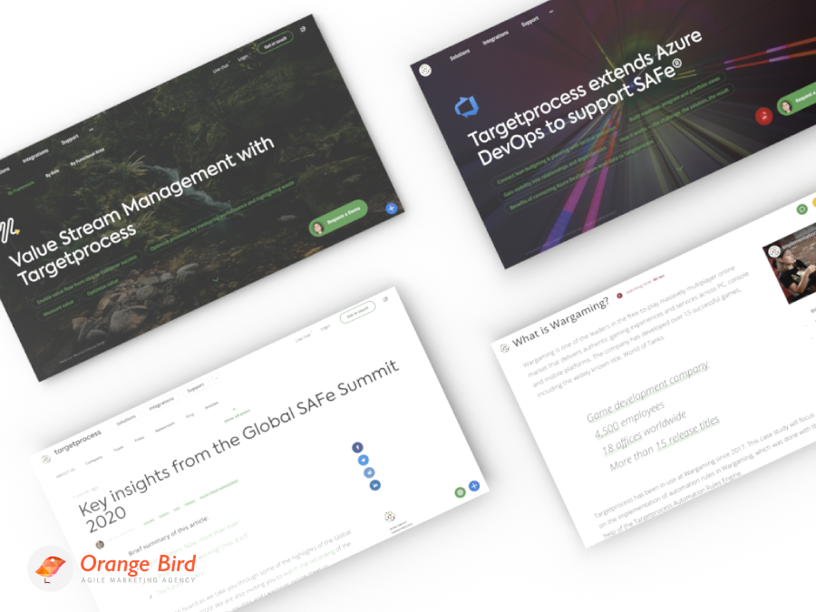 Een van de vele diensten die Orange Bird aan Targetprocess levert is content marketing: landingspagina's, blog posts en video case studies.