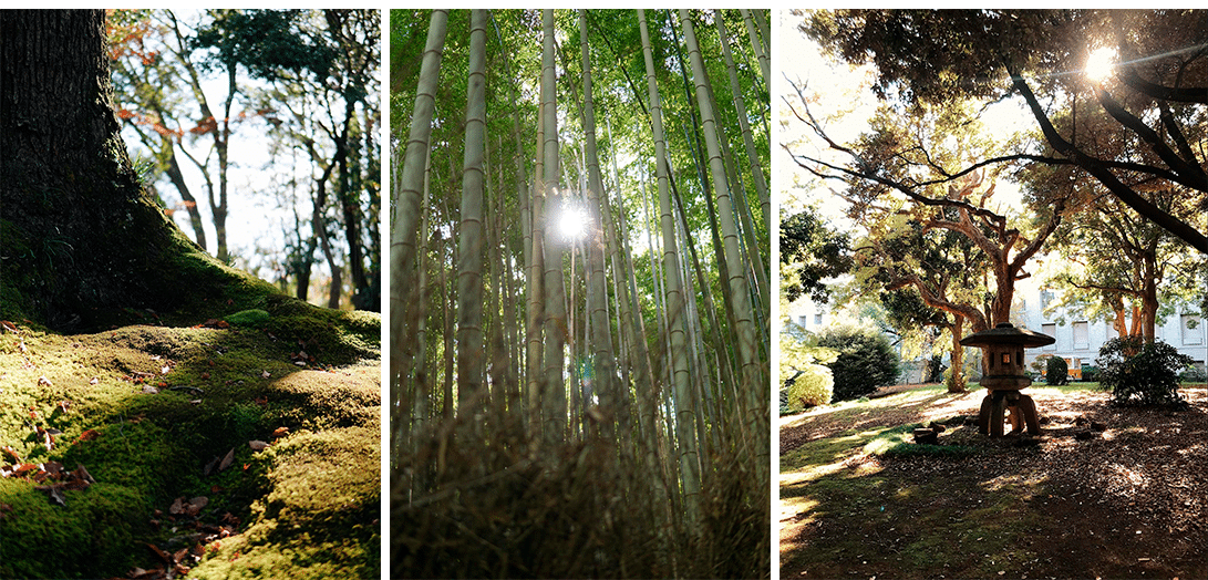 Japan Collage