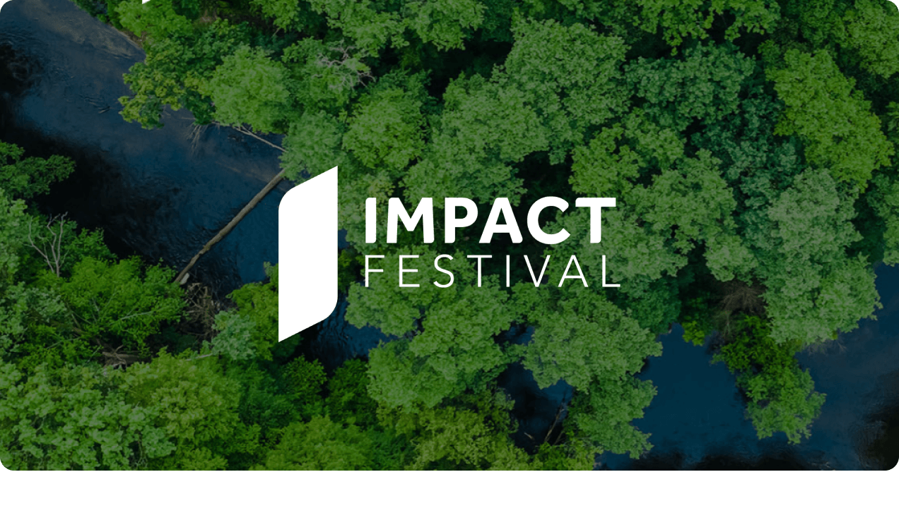 Impact Festival