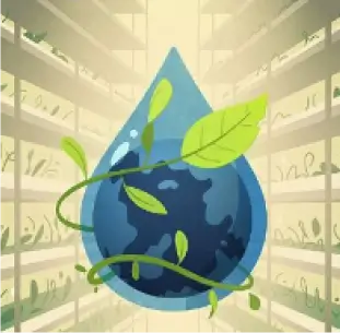 How iFarm vertical farms save water